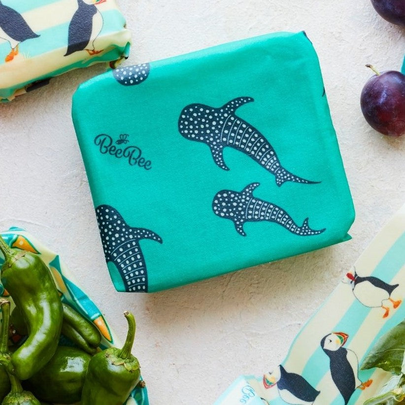 Beeswax Food Wraps (Whale Shark) container lid